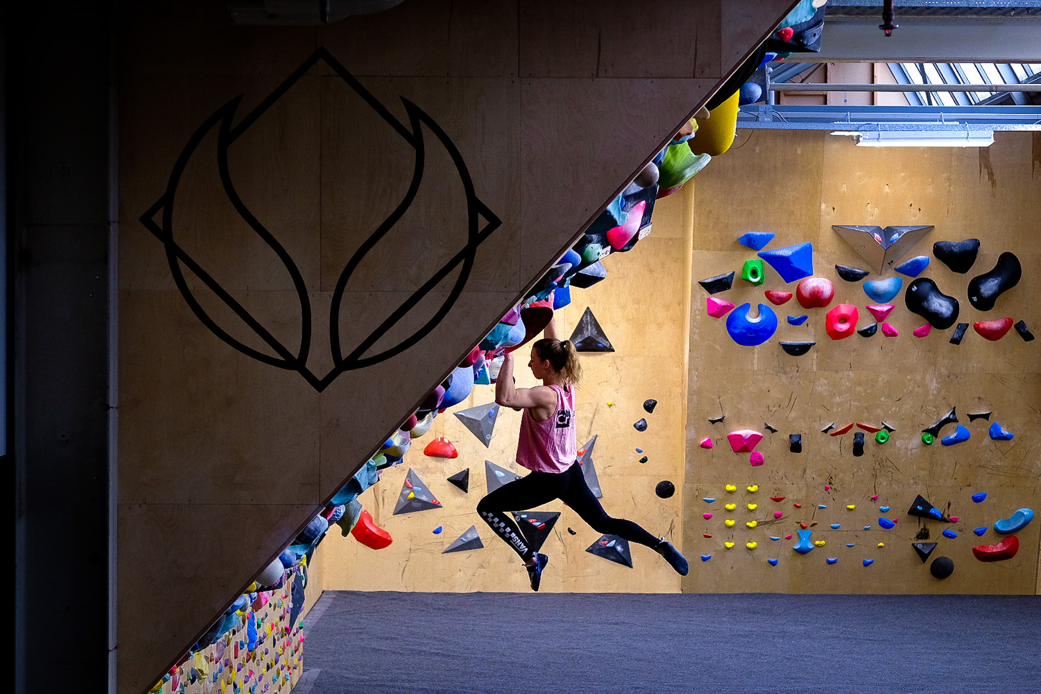 Club Wildflower Climbing Gym