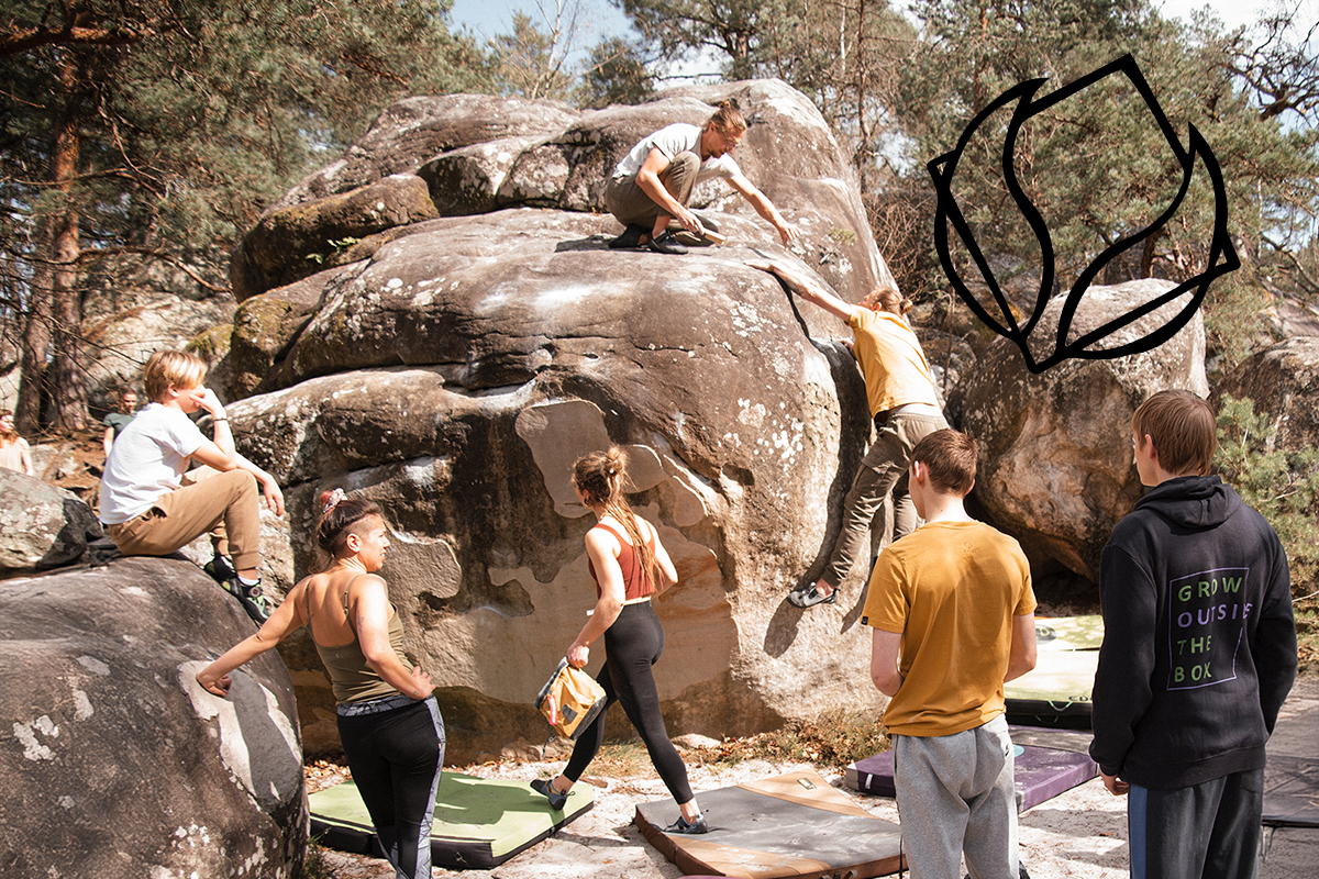 wildflower climbing fontainebleau 2025