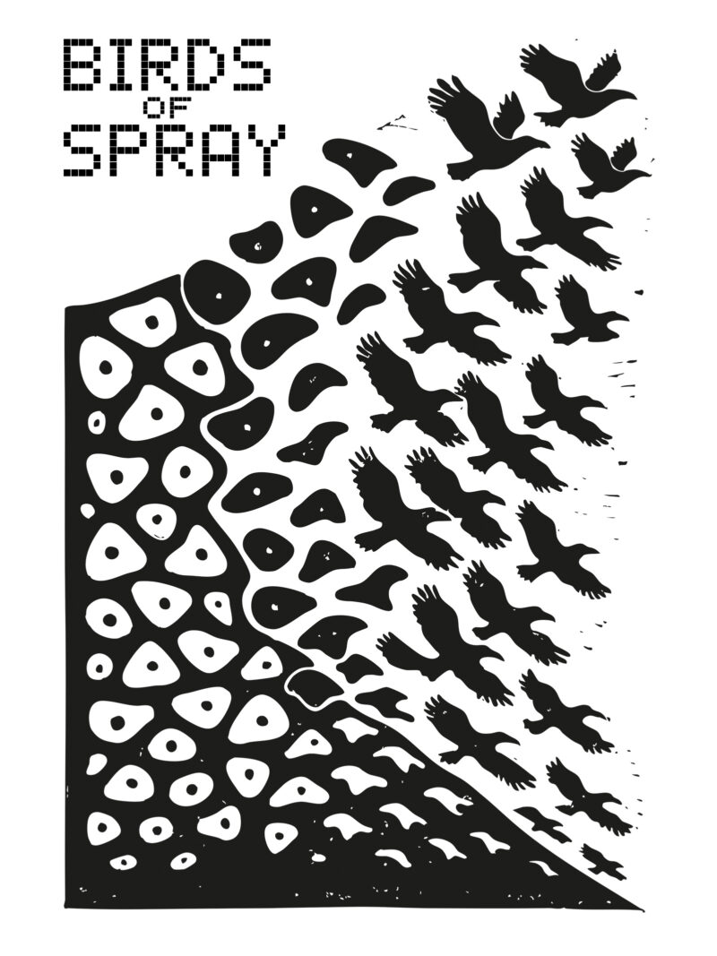 birds of spray 2025 2026