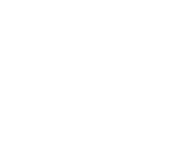 So Ill Logo