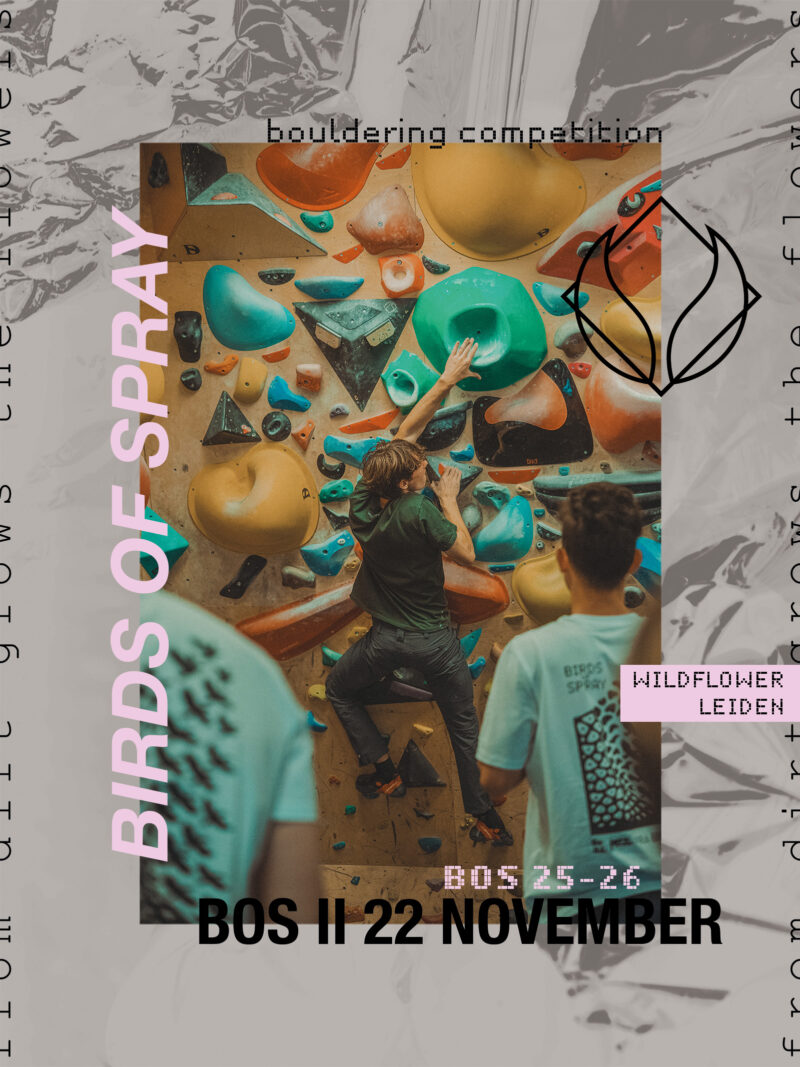 birds of spray BOS II 22 november 2025