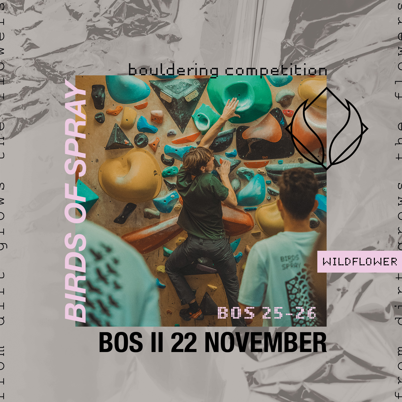 birds of spray BOS II news